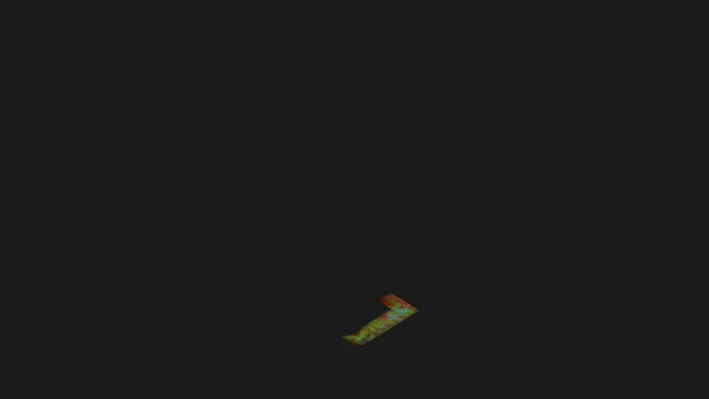 林業中觀單木提取.gif