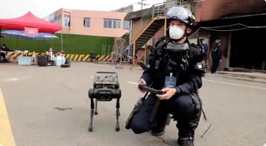 火災-機器狗副本.png