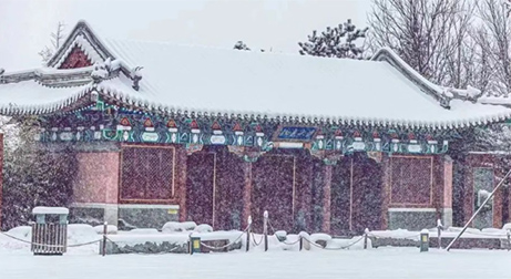 泰來三維| 冬天 冬雪  三維掃描，這邊風景獨好