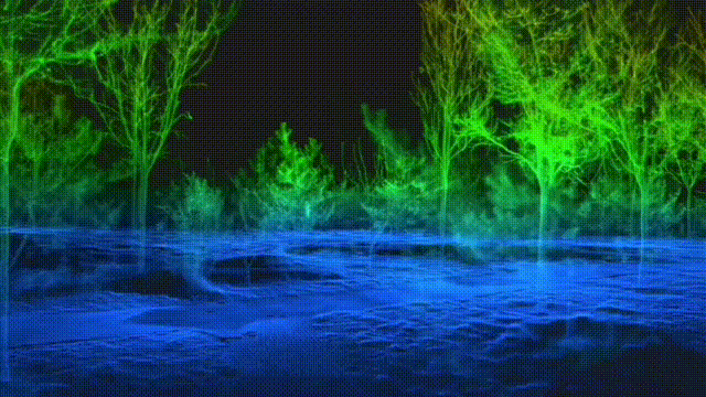 林地掃描1 00_00_00-00_00_30.gif