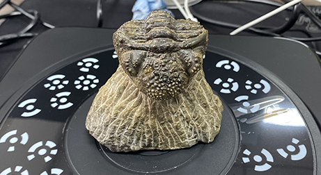 泰來三維視頻案例 |從三維掃描到3d打印,三維掃描古文物化石-三葉蟲